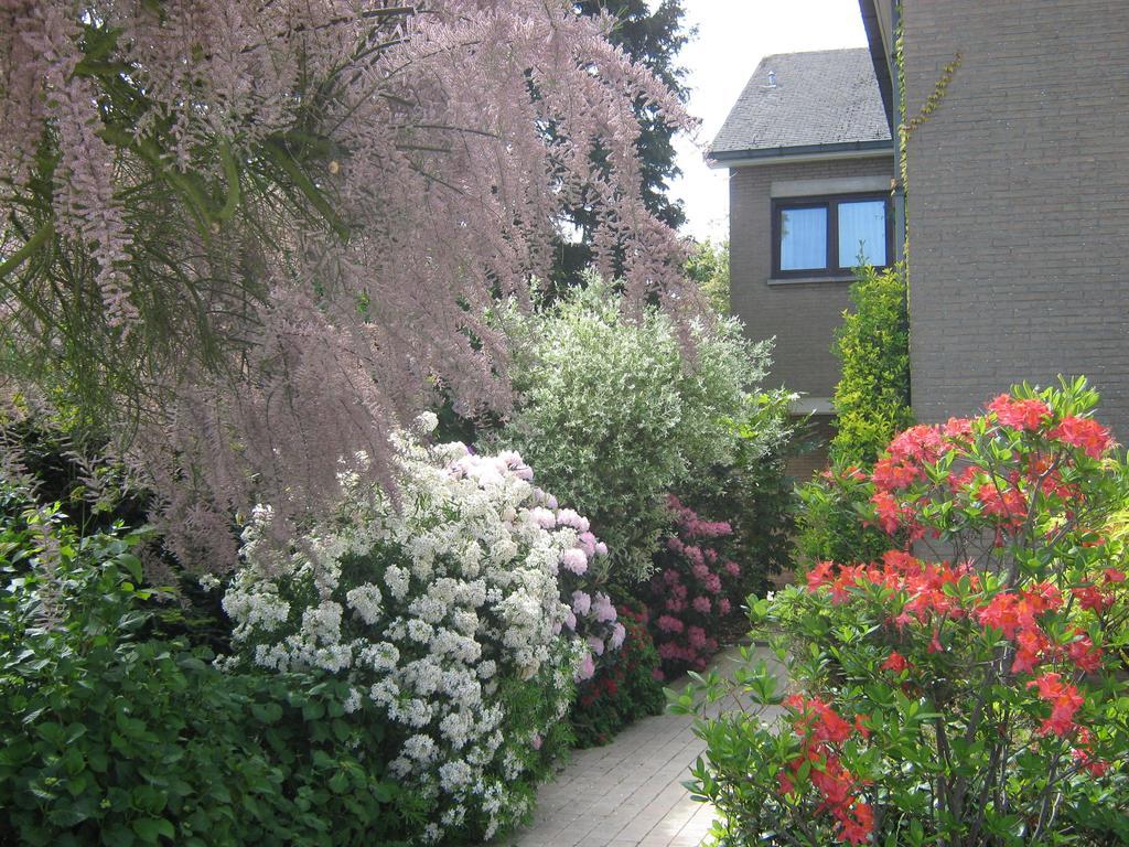 Prince D'Orange Bed & Breakfast Braine-lʼAlleud Eksteriør billede